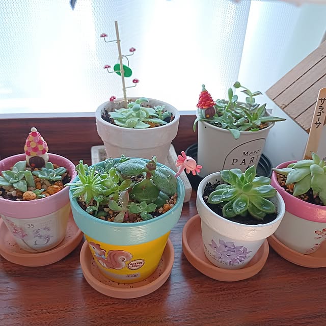 tomo5さんの実例写真