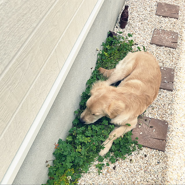 marinkoさんの実例写真