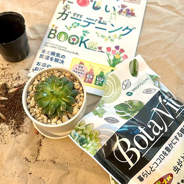 chiroさんの部屋