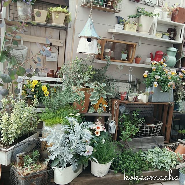 kokkomachaさんの実例写真