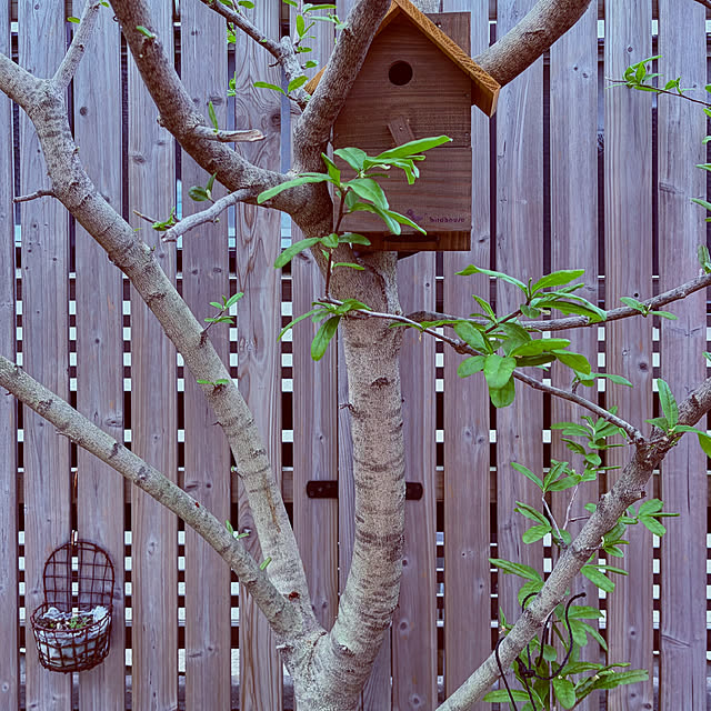 chacoさんの部屋