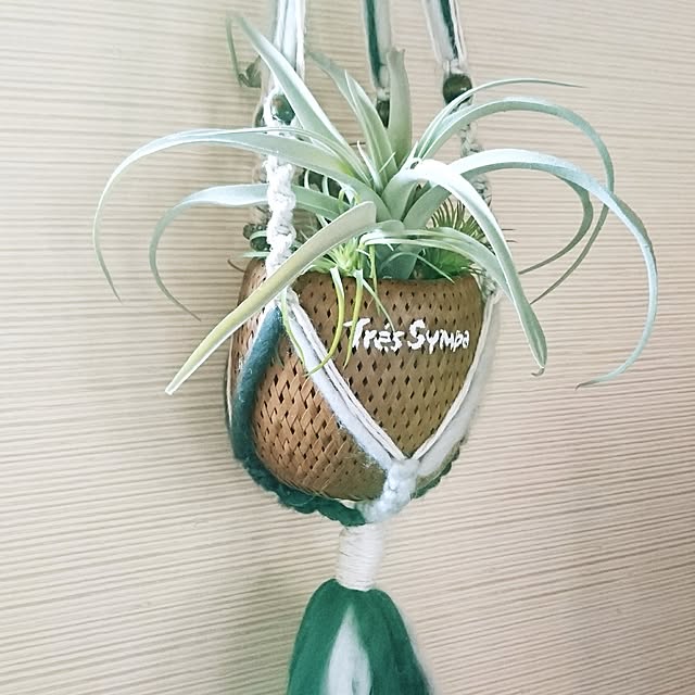cocosorasakuさんの実例写真