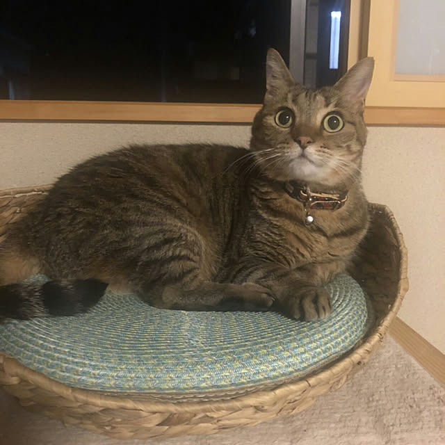 taeさんの実例写真