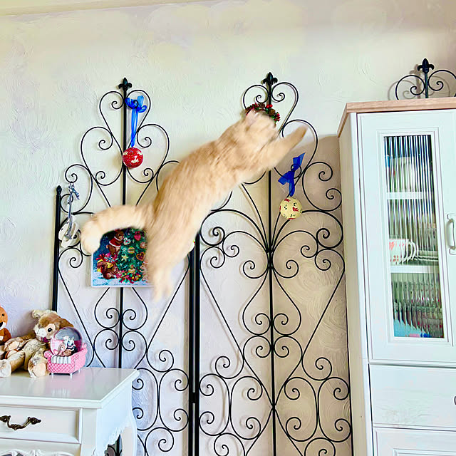 naokoさんの部屋