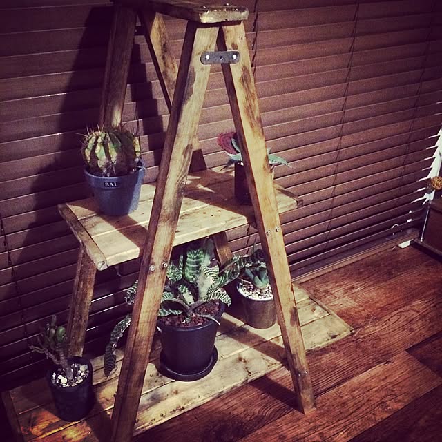 katsuwobushiさんの実例写真