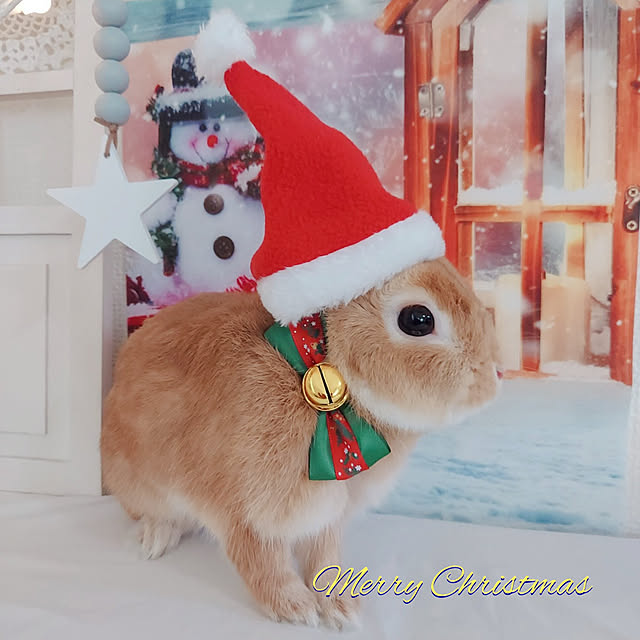 aikkoさんの実例写真