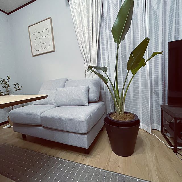 yasuhaさんの部屋