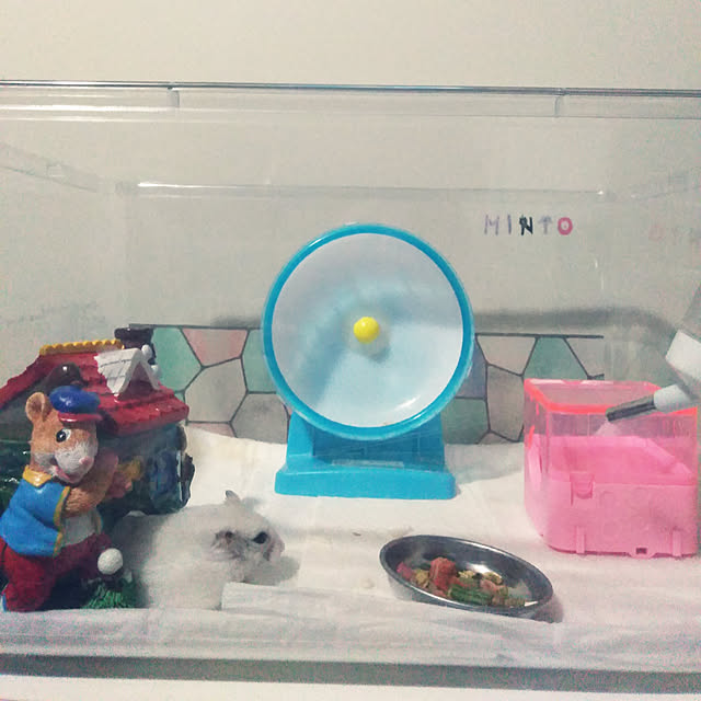 kayoさんの実例写真