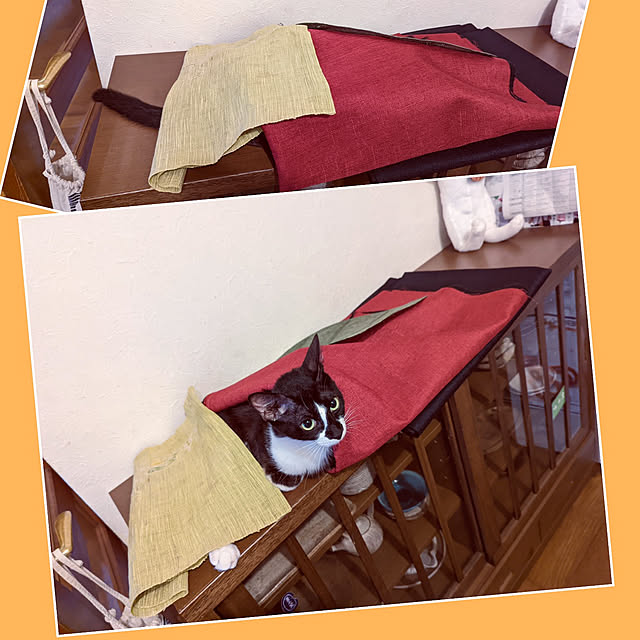 uchizukonyanさんの実例写真