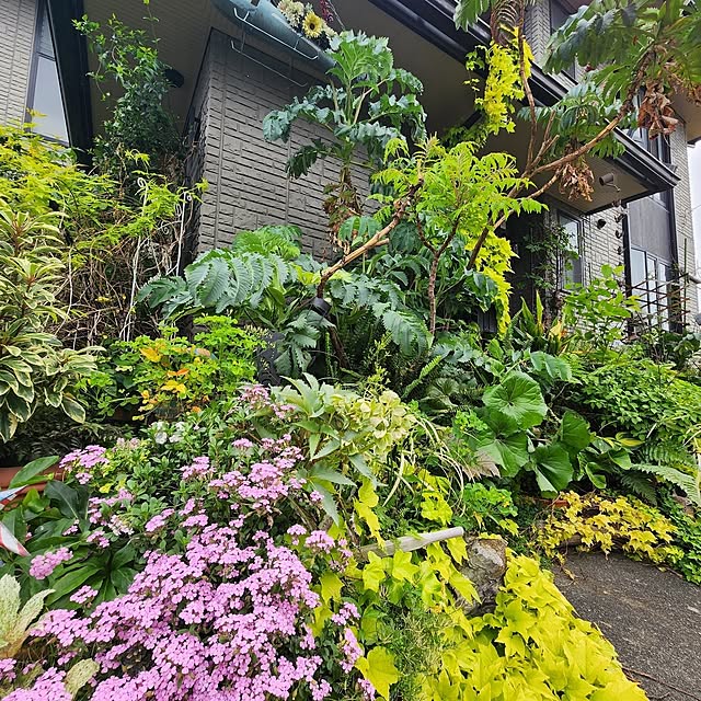 GreenHomeさんの部屋