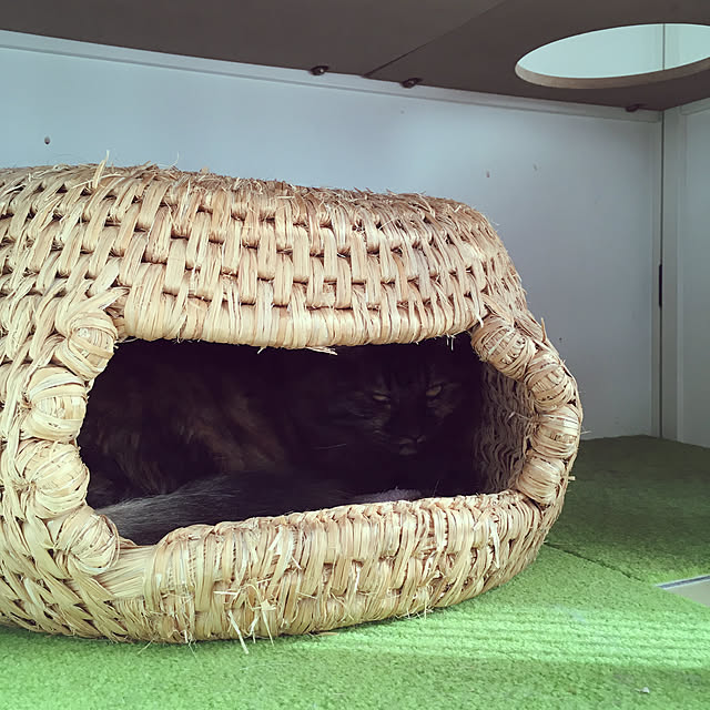 mikomaruさんの実例写真