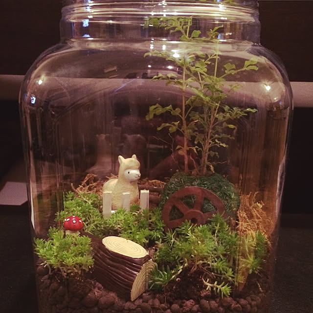 Mi._.kaさんの実例写真