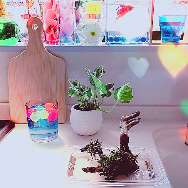 koyuriさんの実例写真