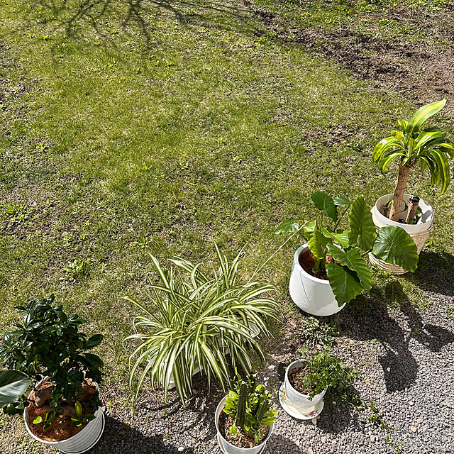 hanahana1444さんの部屋