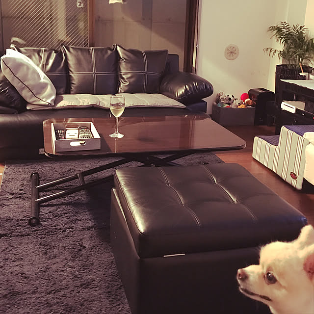 sacchiさんの実例写真