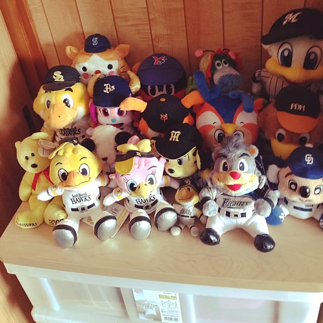 akko0223さんの実例写真