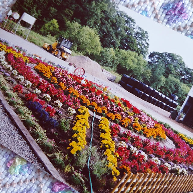 ree.yoshi-1001さんの実例写真
