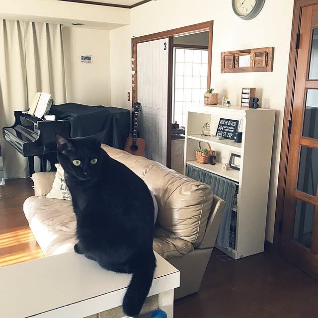 mahi1101さんの実例写真