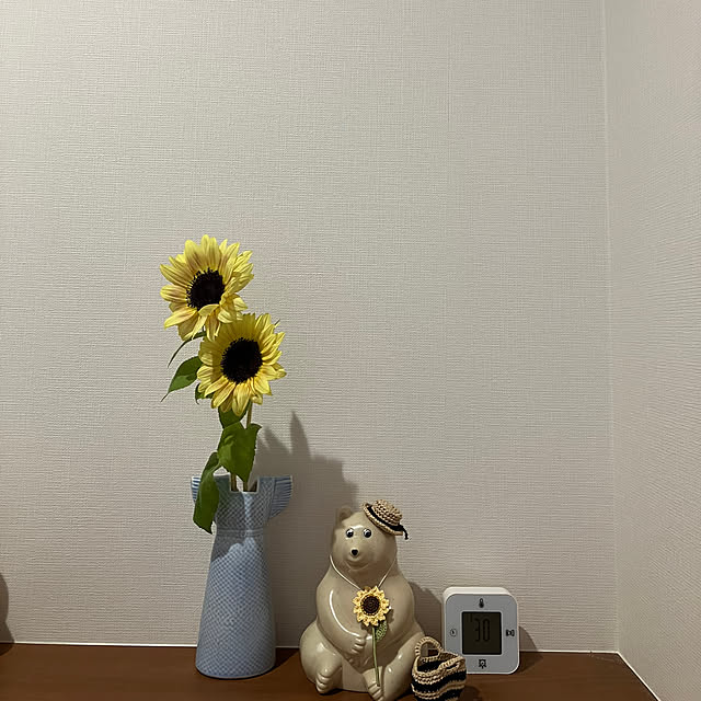 aicosu2019さんの実例写真