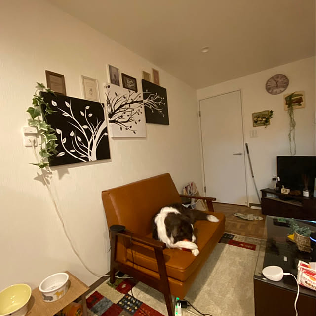 h_m6fさんの実例写真