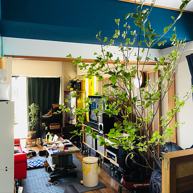 Hirokoさんの実例写真