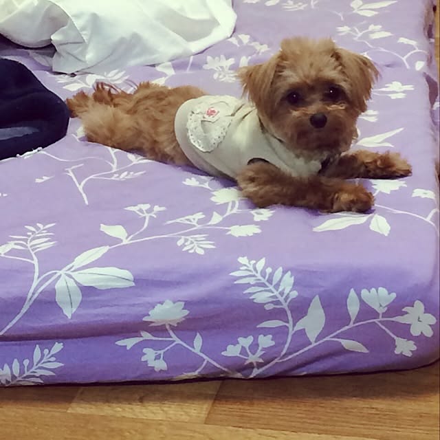 Reniさんの実例写真