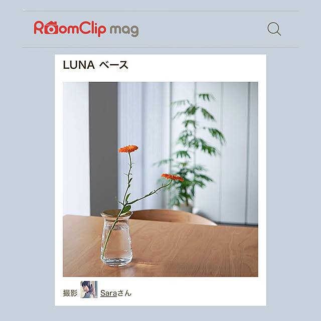 Saraさんの実例写真