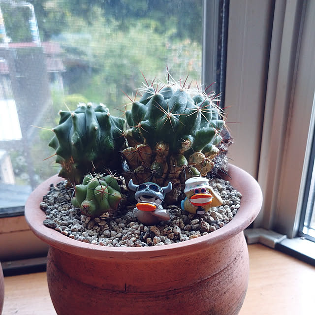 pineさんの実例写真