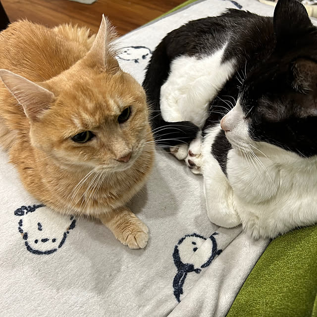 mikeume7さんの部屋