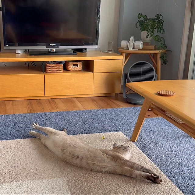 amさんの実例写真