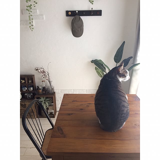 hiroko_ssnさんの実例写真