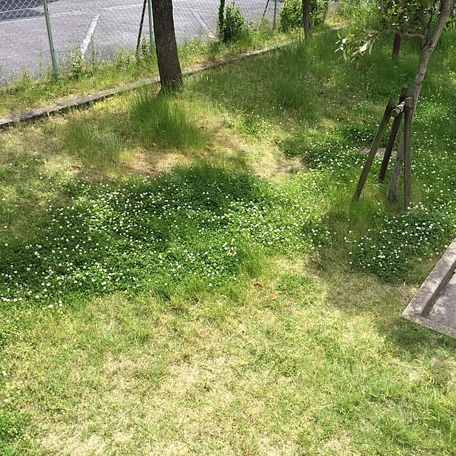 boshさんの実例写真
