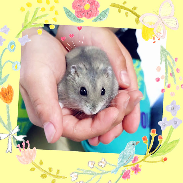 Miyumamaさんの実例写真