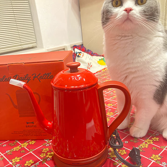 Riccoさんの実例写真