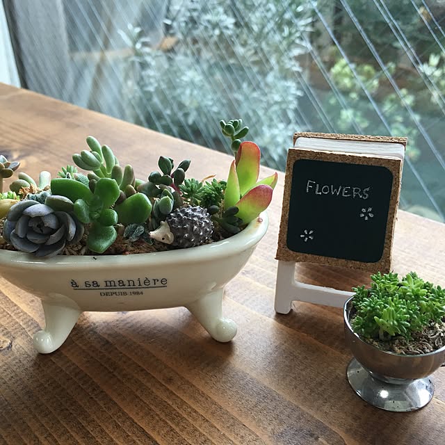 棚/多肉植物/雑貨のインテリア実例 - 2016-07-07 09:58:28