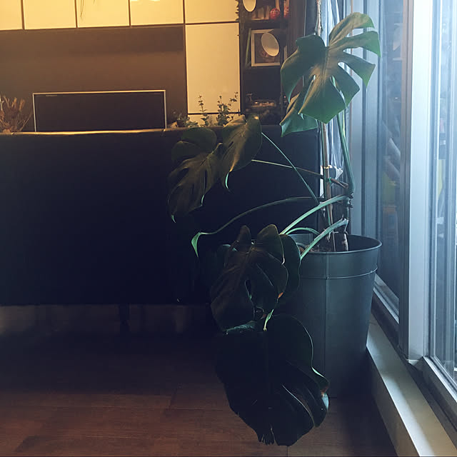 0415さんの実例写真