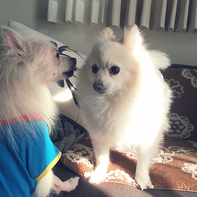 MEさんの実例写真