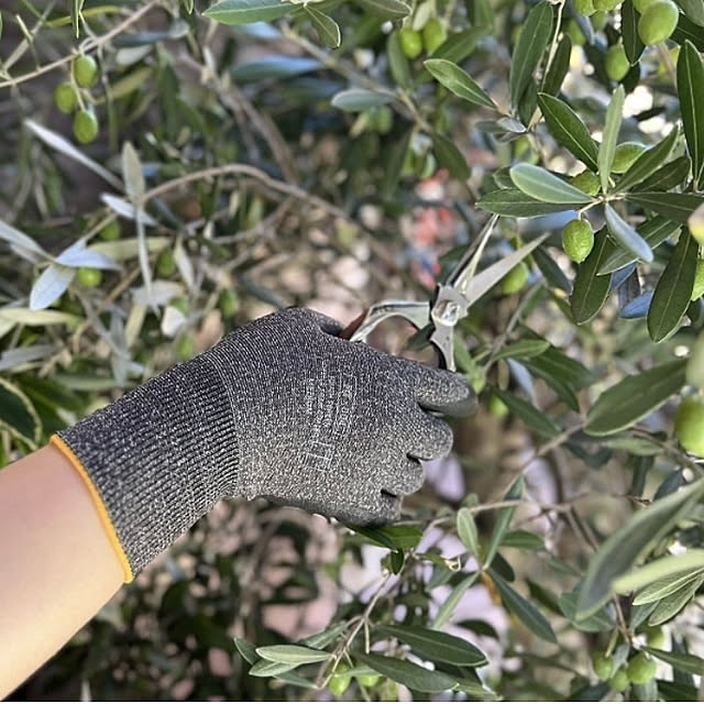 Royal_Gardeners_Clubさんの部屋