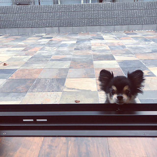 imosukeさんの実例写真
