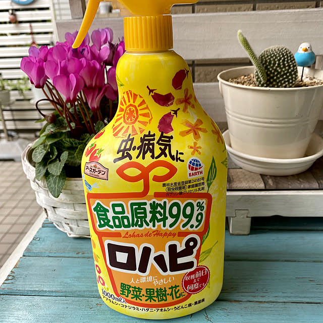 YuuKoさんの実例写真