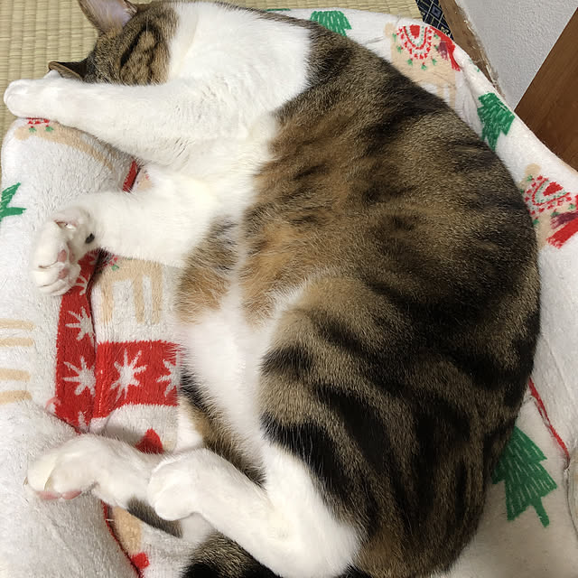 tf8332さんの実例写真