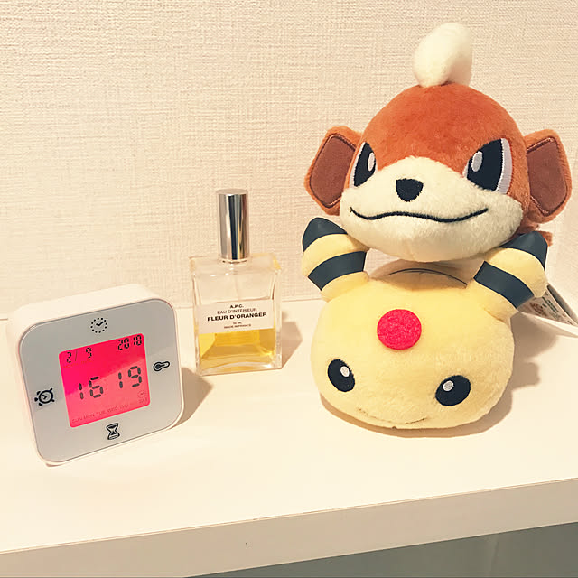 pechiさんの実例写真