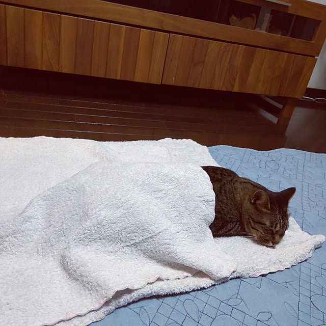 komugiさんの実例写真