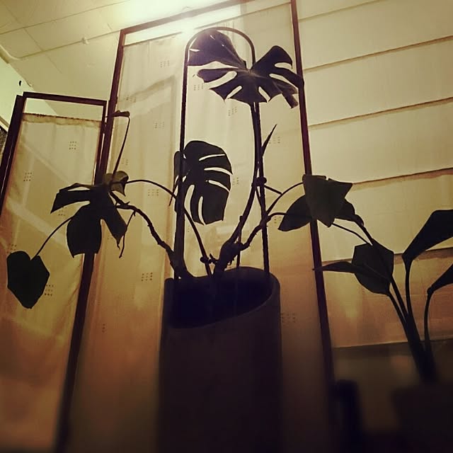 cocoroさんの実例写真