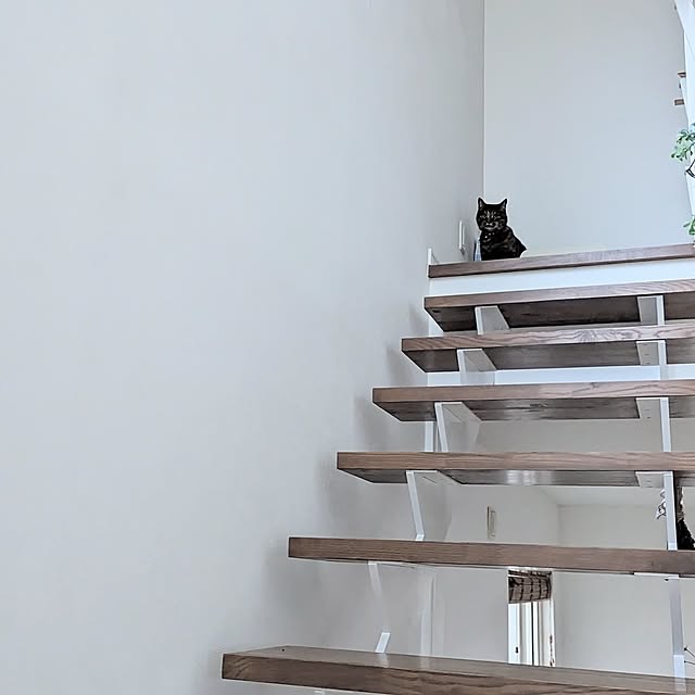 mamimamipockyさんの部屋