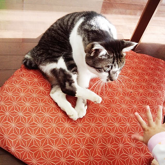 arahonis471さんの実例写真
