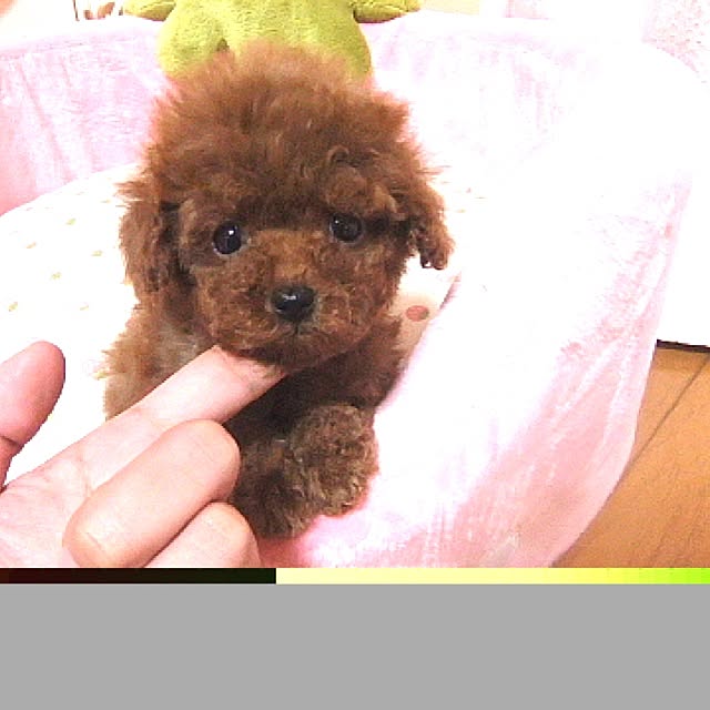 cocoさんの実例写真