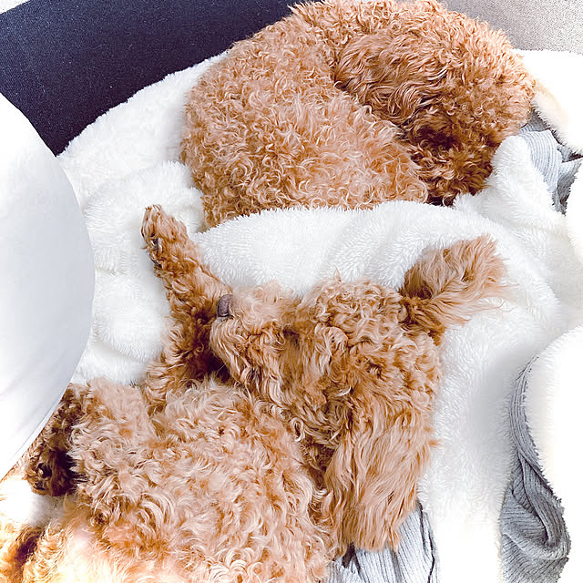 kazuさんの実例写真