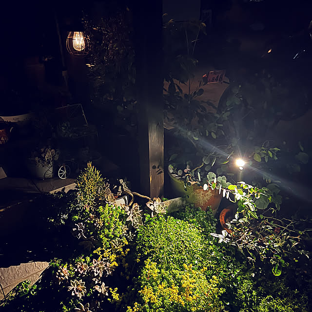 coraruさんの部屋