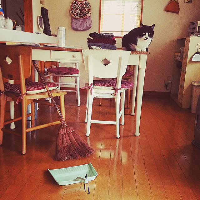 部屋全体/二人暮し/ねこバカ部/白黒ネコ/ほうき&ちりとりのインテリア実例 - 2014-12-13 11:49:01